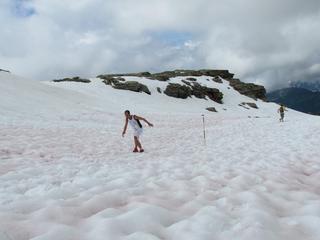 2011-06-12 11:13:41